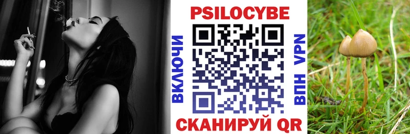 Галлюциногенные грибы Psilocybine cubensis  Комсомольск-на-Амуре 